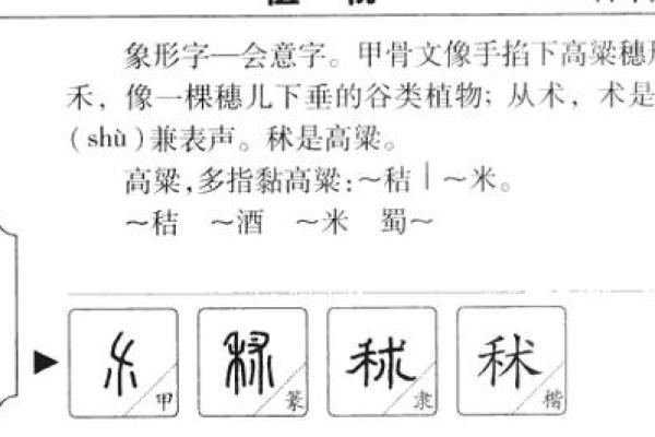 探讨珵字的五行属性及其文化意义